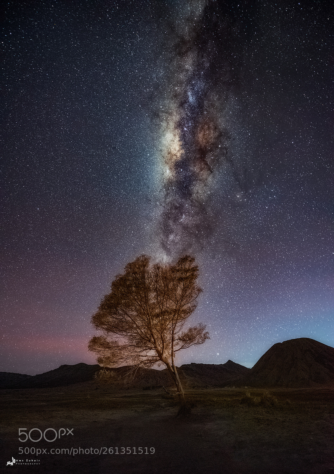 Nikon D810 sample photo. Under the stars photography