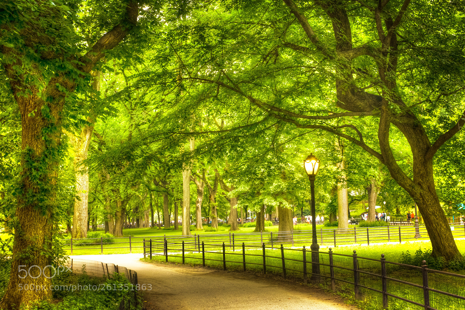 Nikon D810 sample photo. Tonemapped photography