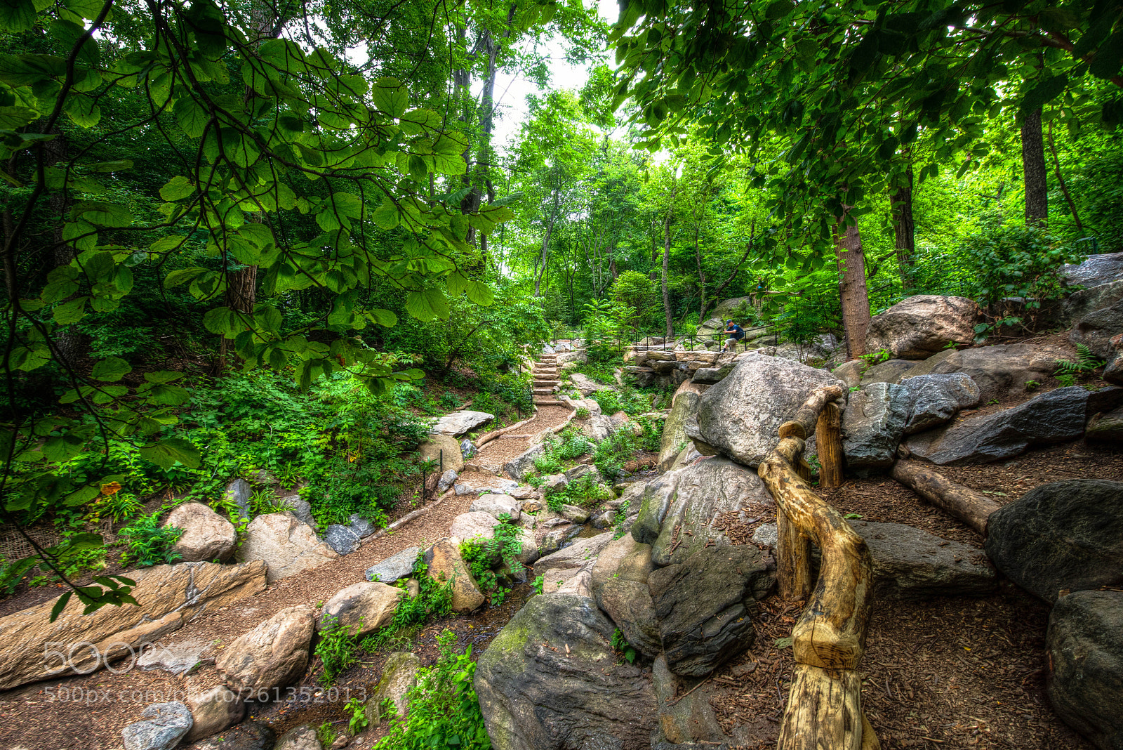 Nikon D810 sample photo. Tonemapped photography
