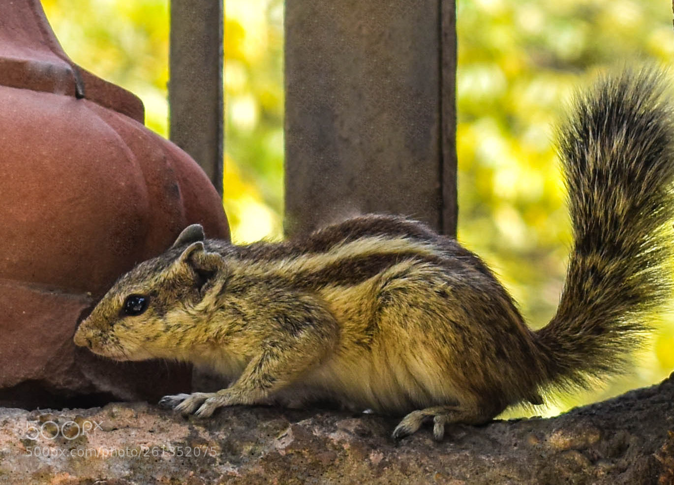 Nikon D5500 sample photo. You are what you photography