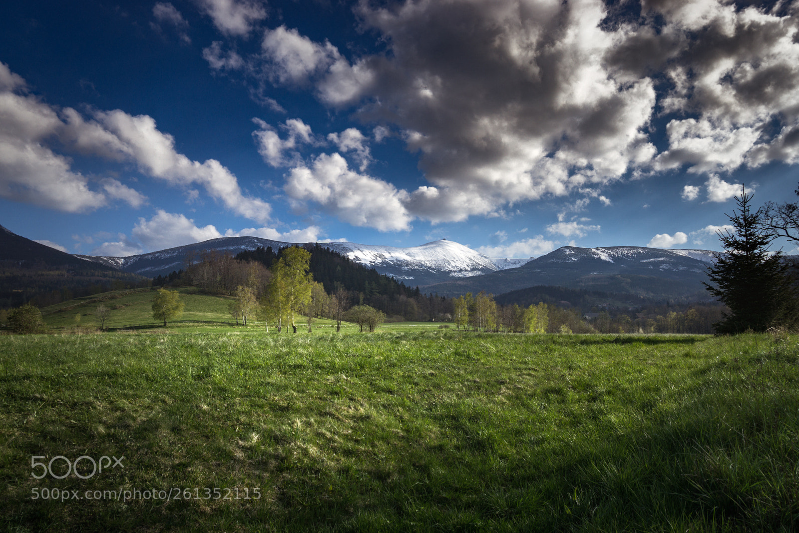 Sony a6000 sample photo. Green landscape photography