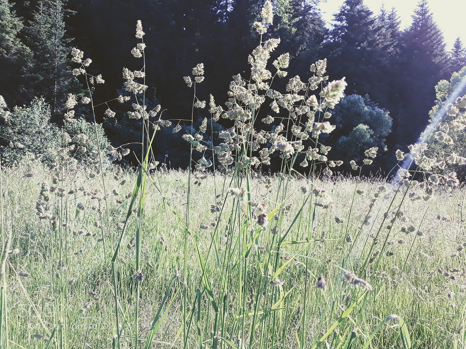 Samsung Galaxy J7 sample photo. Untitled photography