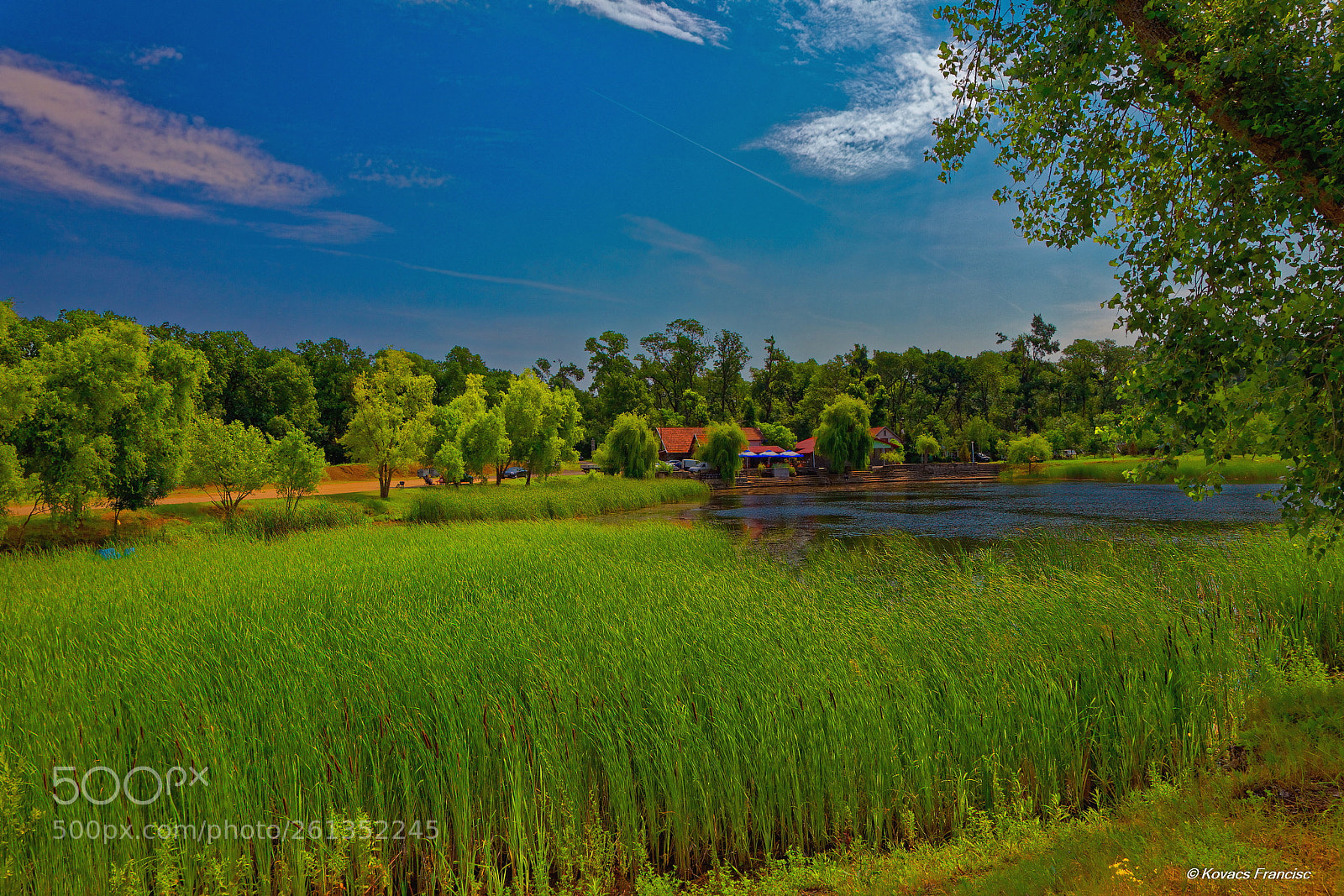Canon EOS 5D Mark II sample photo. The lake in the photography