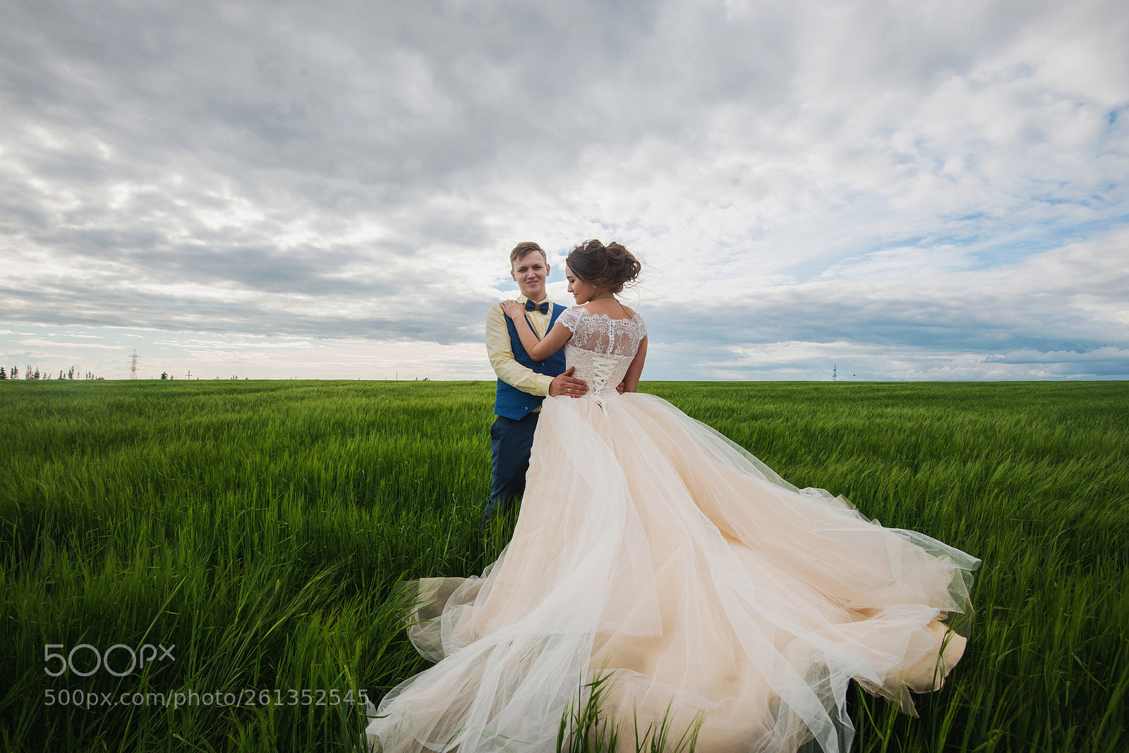 Nikon D800 sample photo. Свадьба () photography