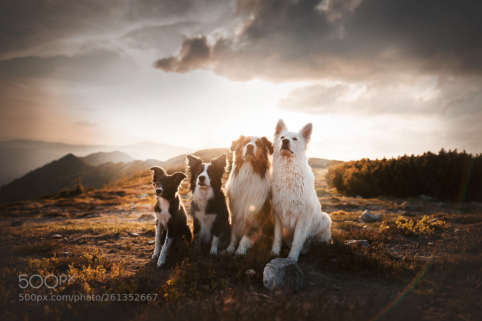 Canon EOS 5D Mark IV sample photo. Mountain crew photography