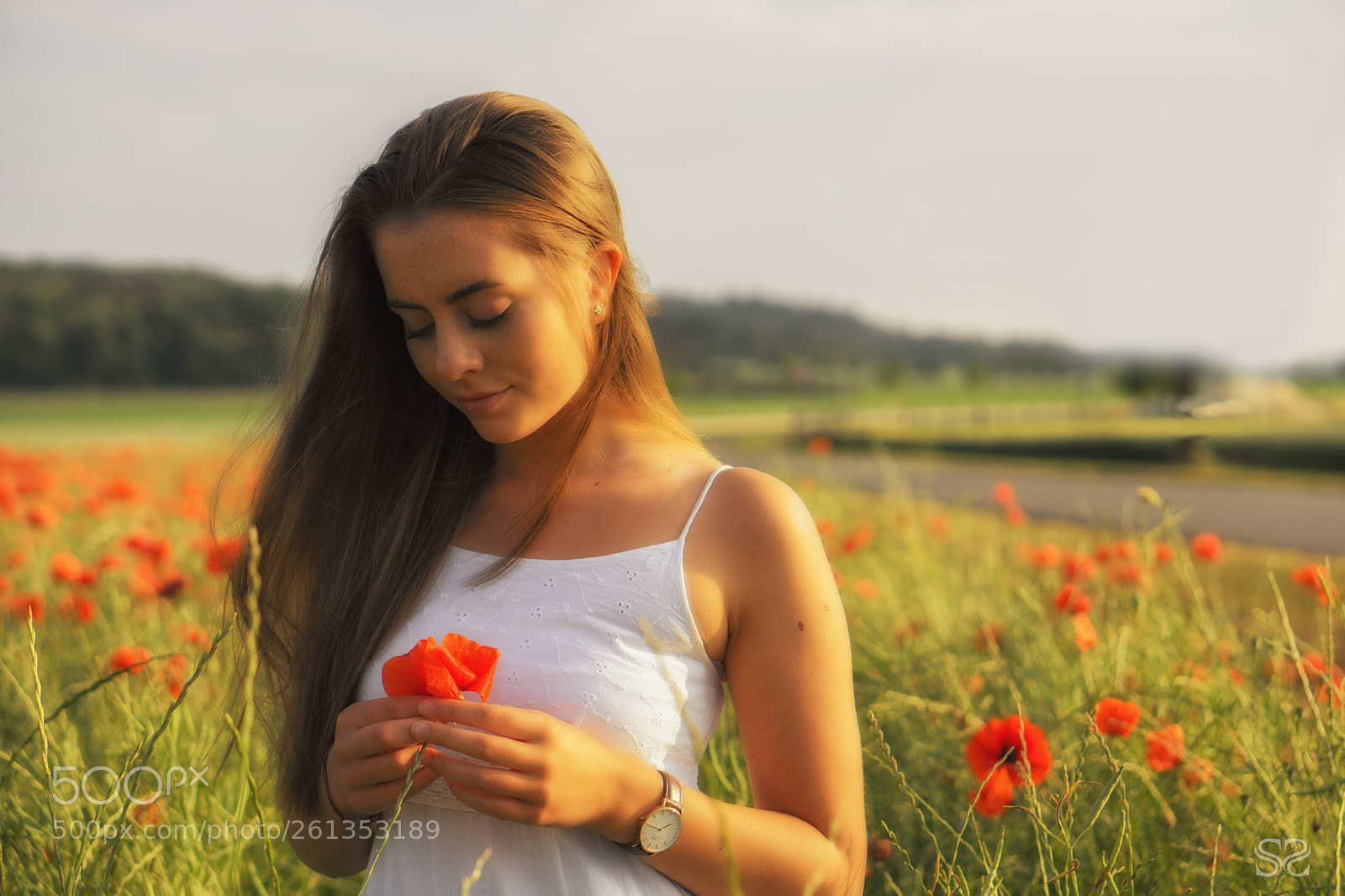 Sony a6000 sample photo. Mohnfeld photography