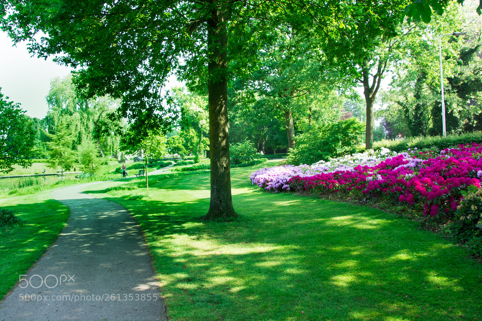 Nikon D5200 sample photo. Park in groenlo photography