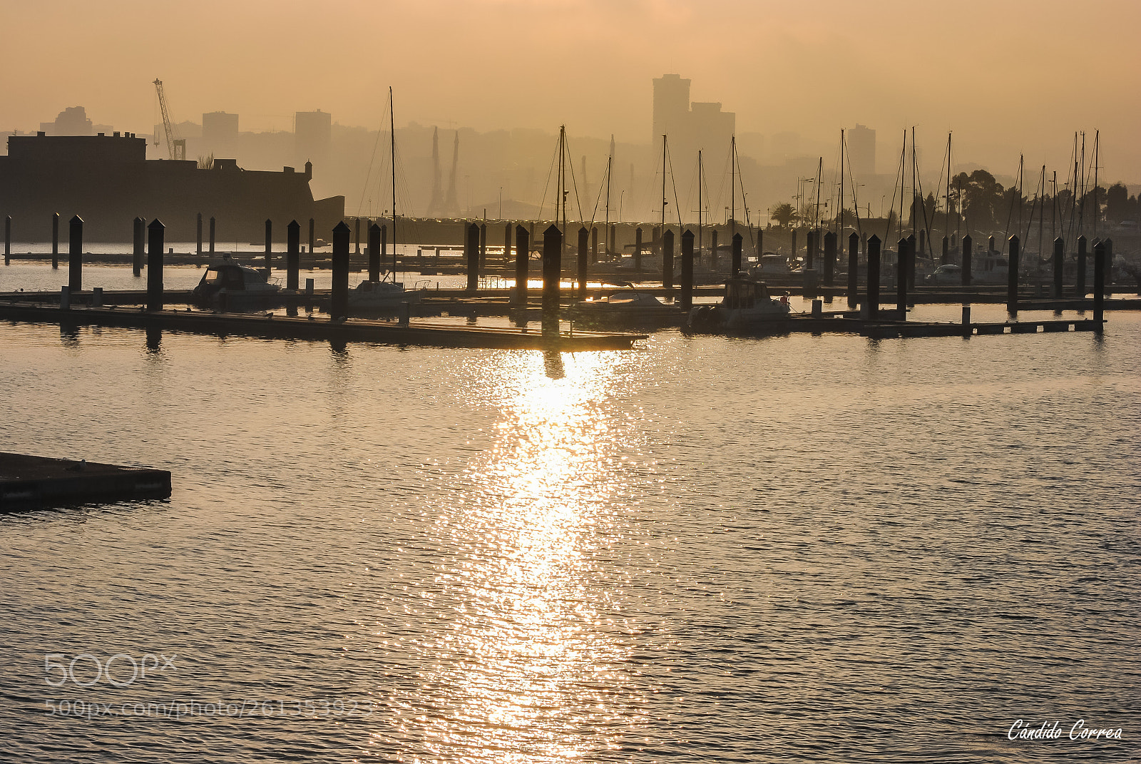 Nikon D3000 sample photo. Atardecer dorado photography