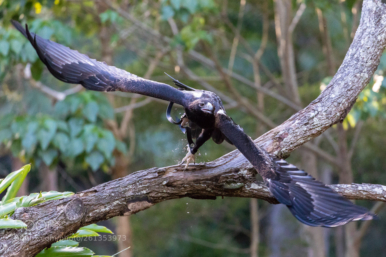 Canon EOS 5D Mark IV sample photo. 2018-06-04 - canon collective photography