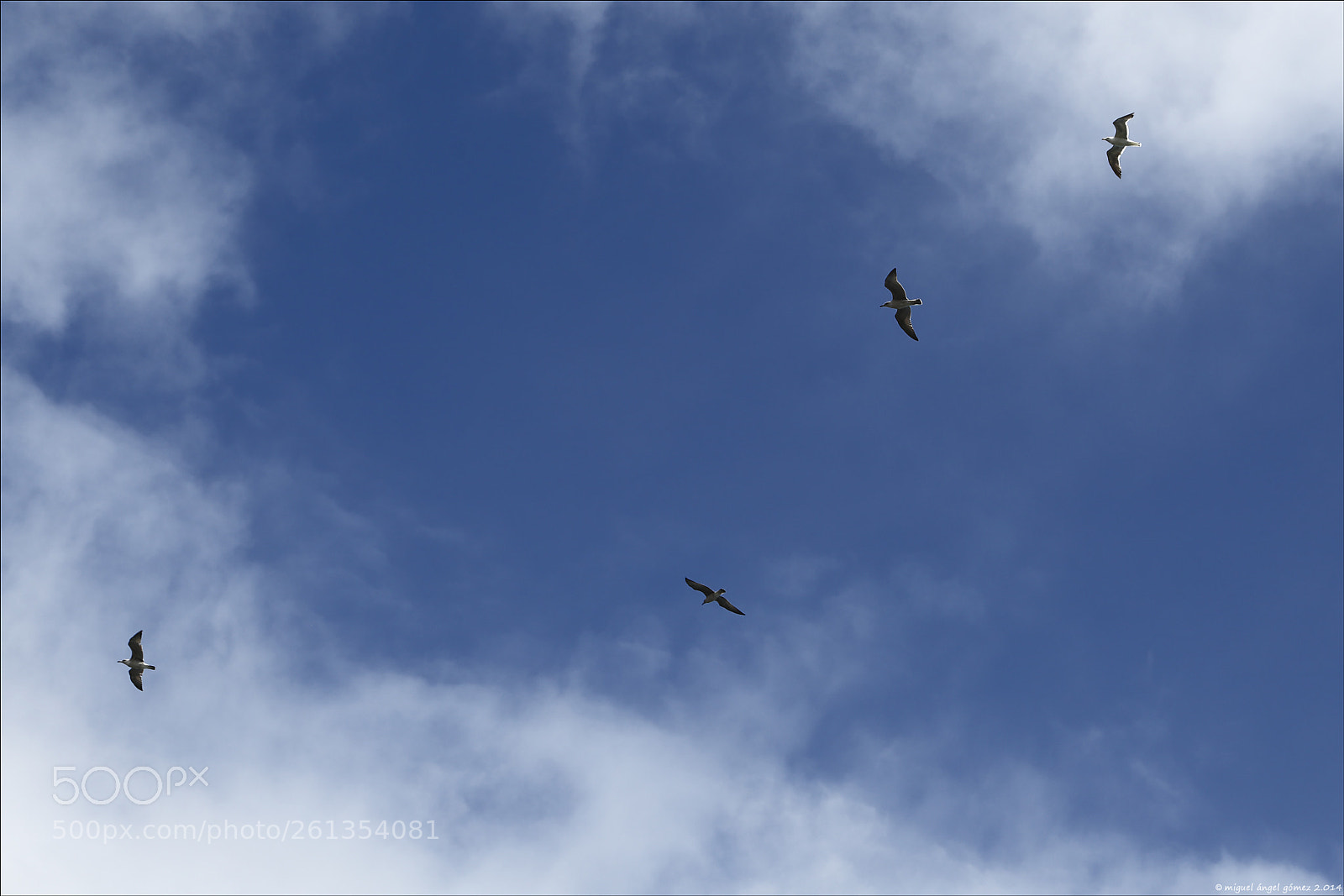 Canon EOS 6D sample photo. 2014 oyambre a flight photography