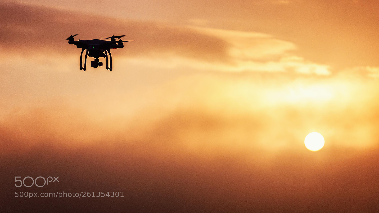 Canon EOS 600D (Rebel EOS T3i / EOS Kiss X5) sample photo. Fly on sunrise photography