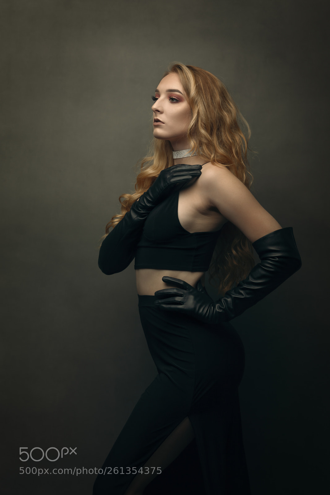 Canon EOS 5D Mark II sample photo. Elegance photography