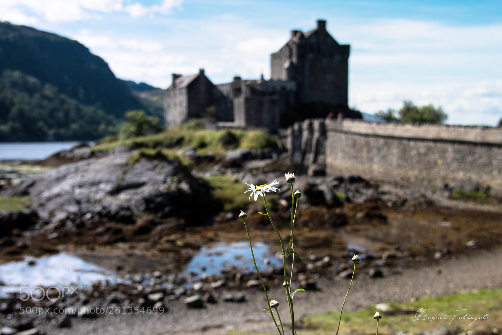 Nikon D750 sample photo. Eilean donan, scotland photography