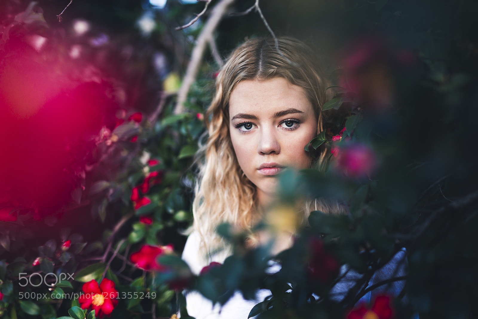 Canon EOS 6D sample photo. Red photography