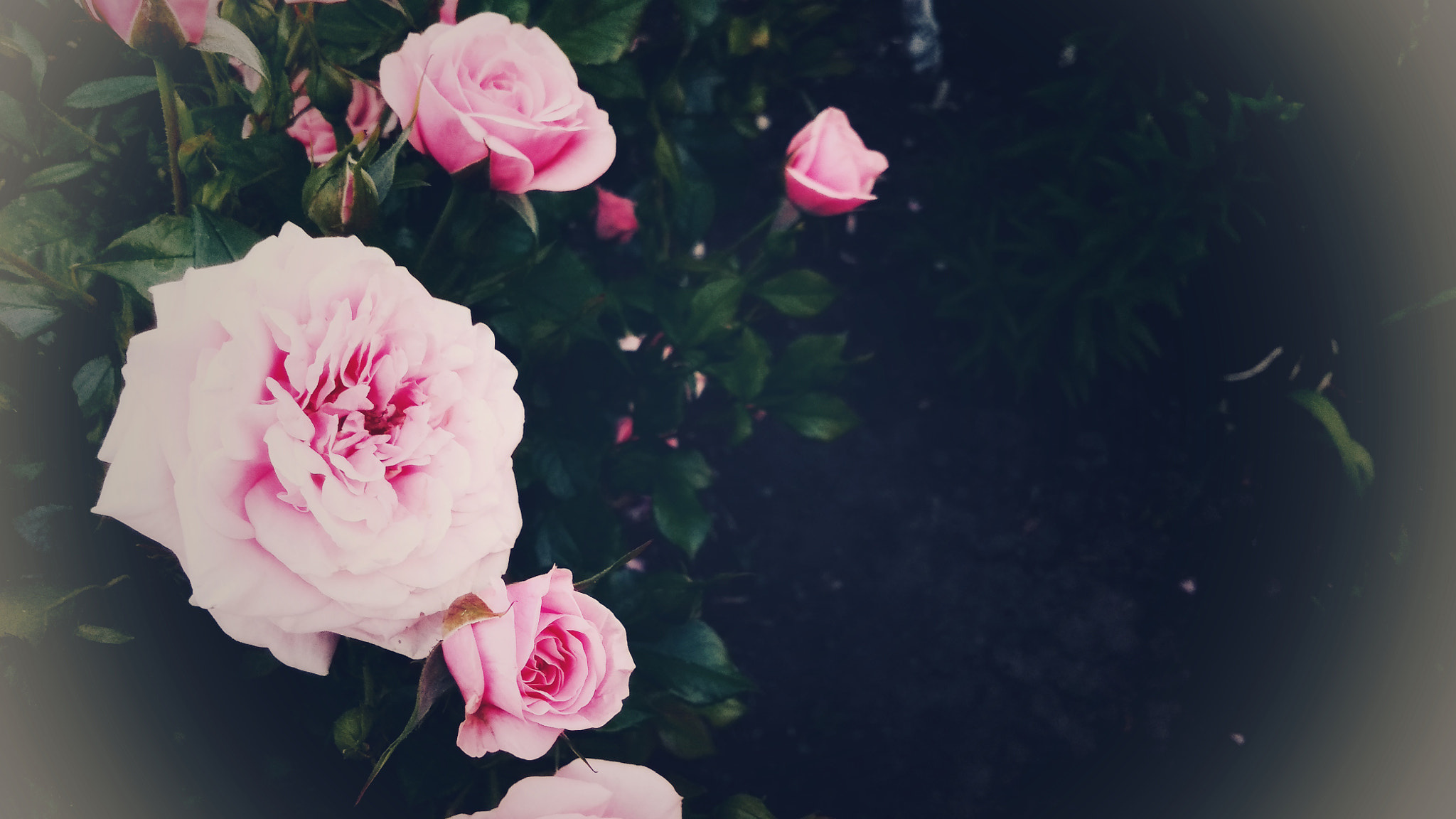 Xiaomi Redmi 4A sample photo