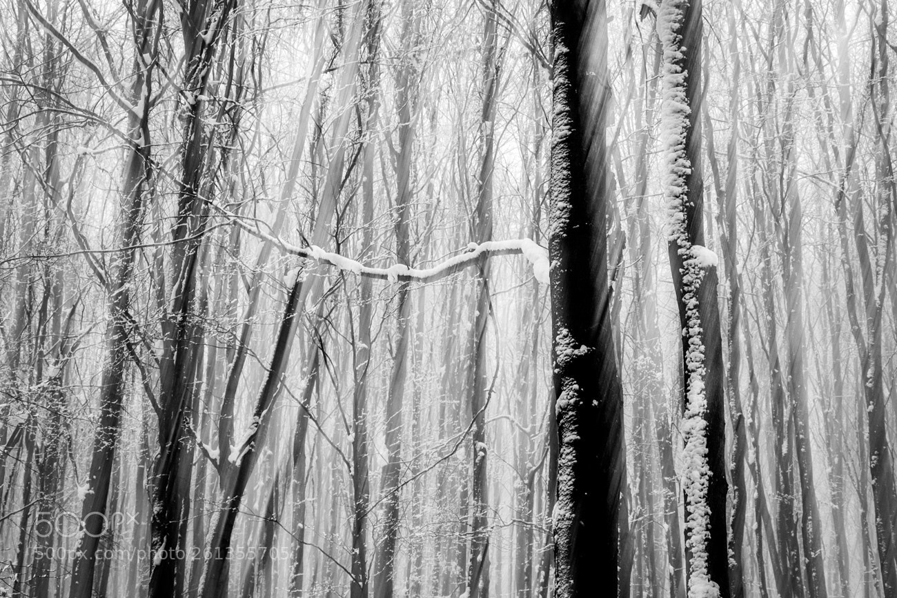 Pentax K-S2 sample photo. Winter mood photography