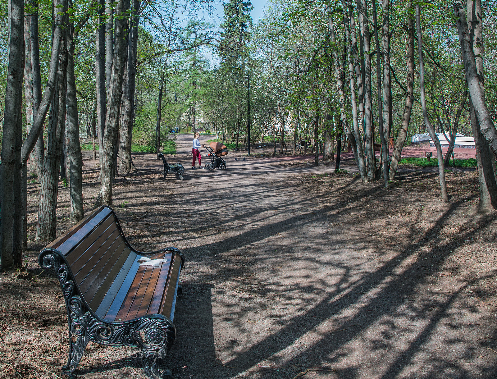Nikon D7100 sample photo. *** photography
