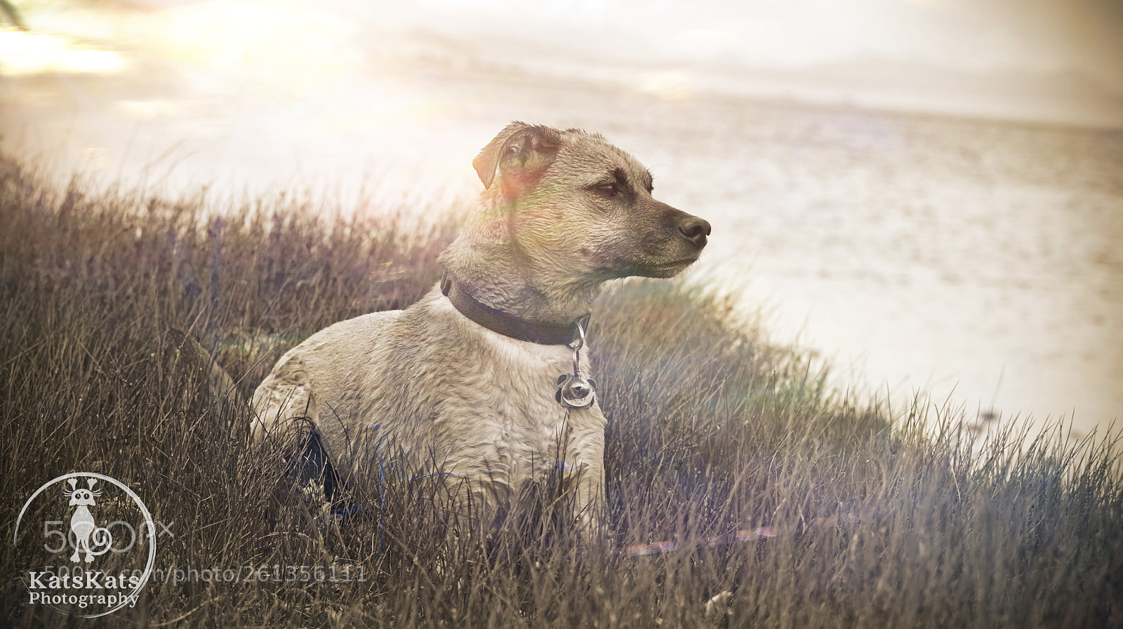 Nikon D7200 sample photo. Serenity photography