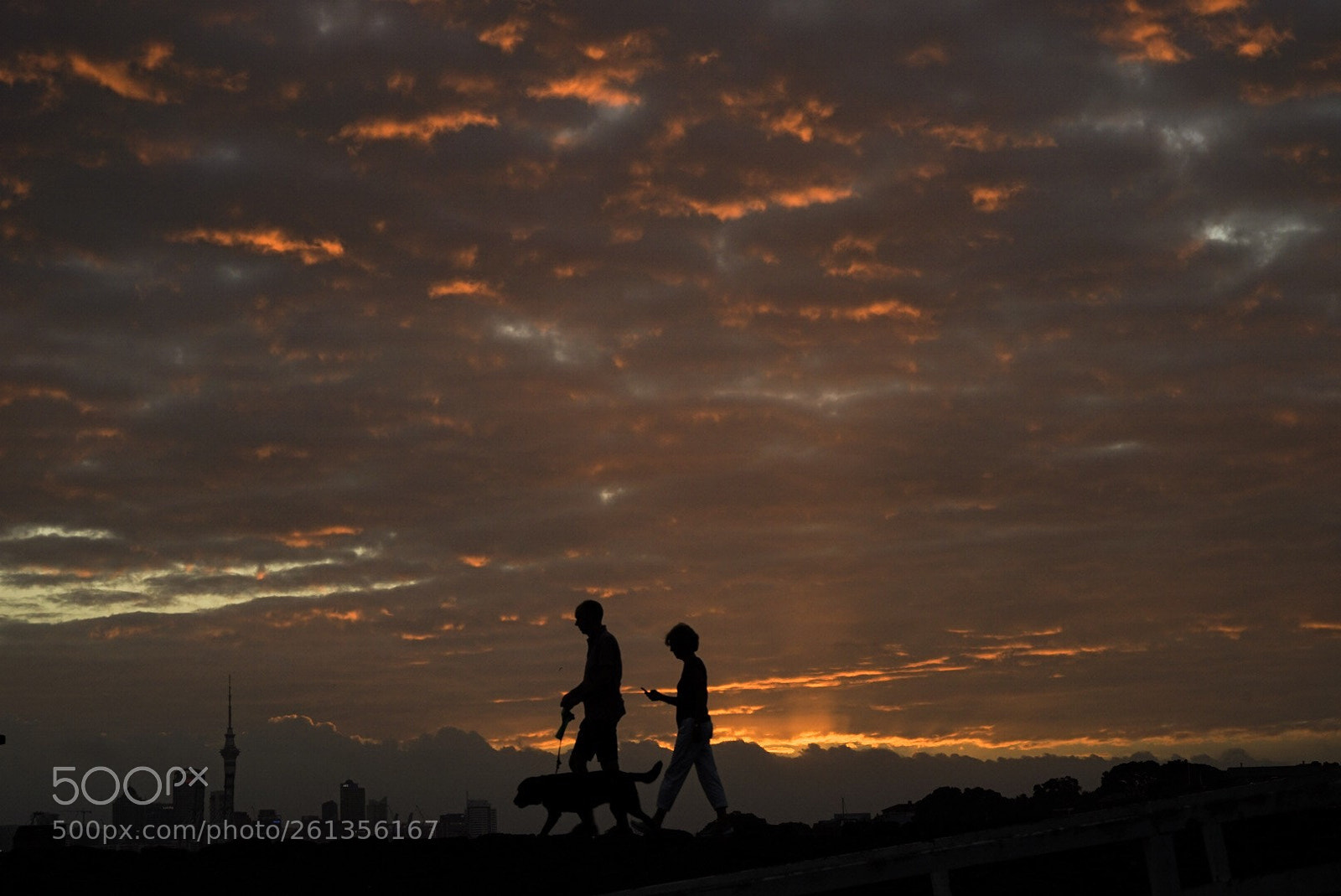 Sony a7 II sample photo. Silhouettes at sunset in photography