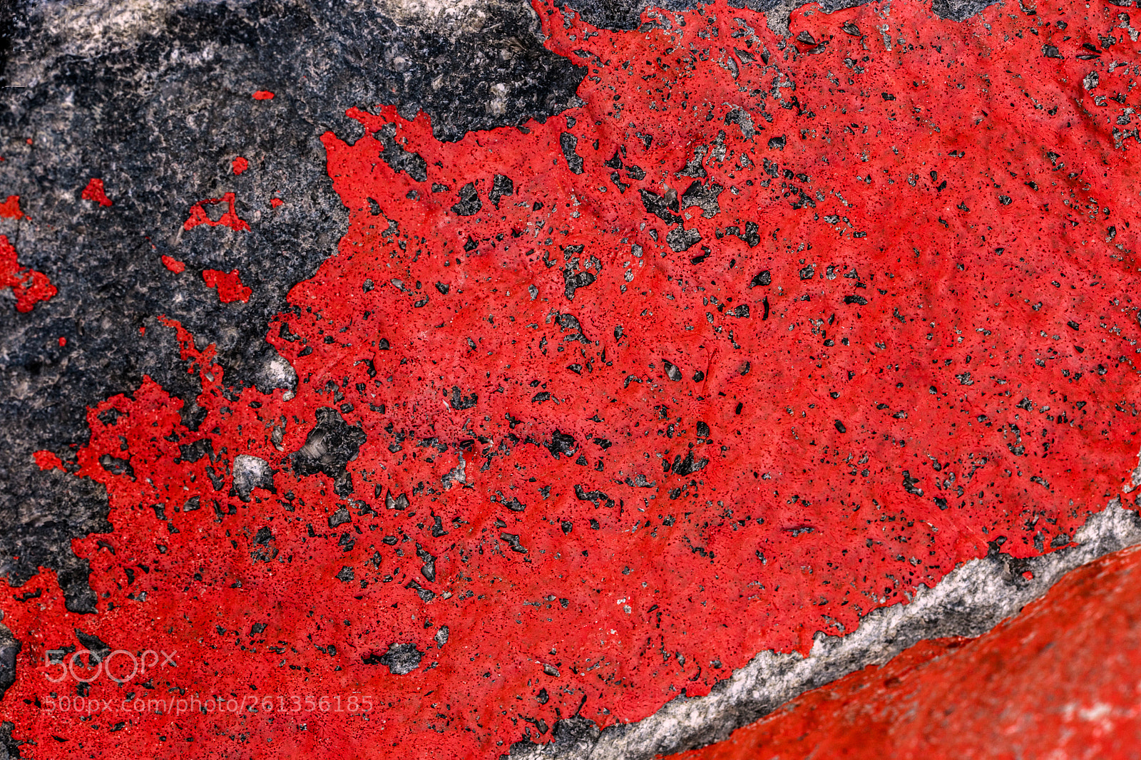 Canon EOS 6D sample photo. Red photography