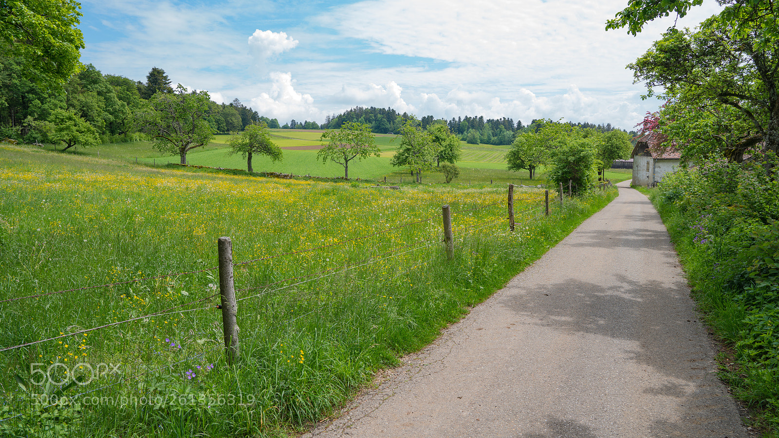 Sony a7R II sample photo. Jura (schweiz) photography