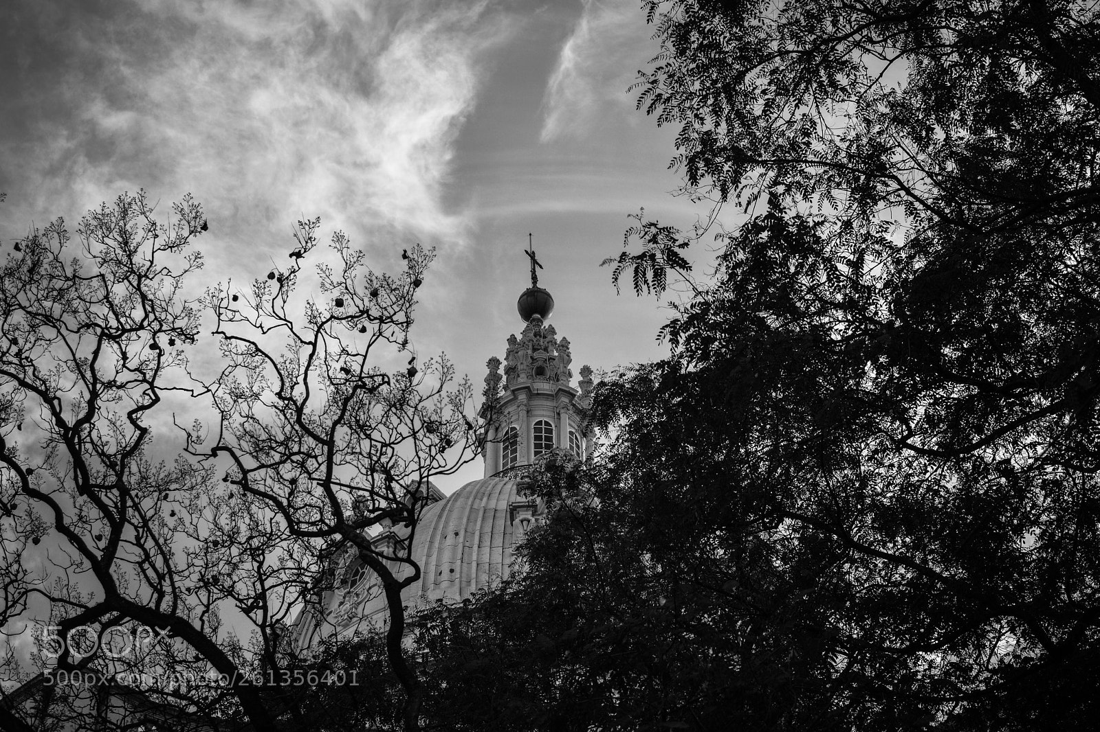 Nikon D5200 sample photo. Catedral photography