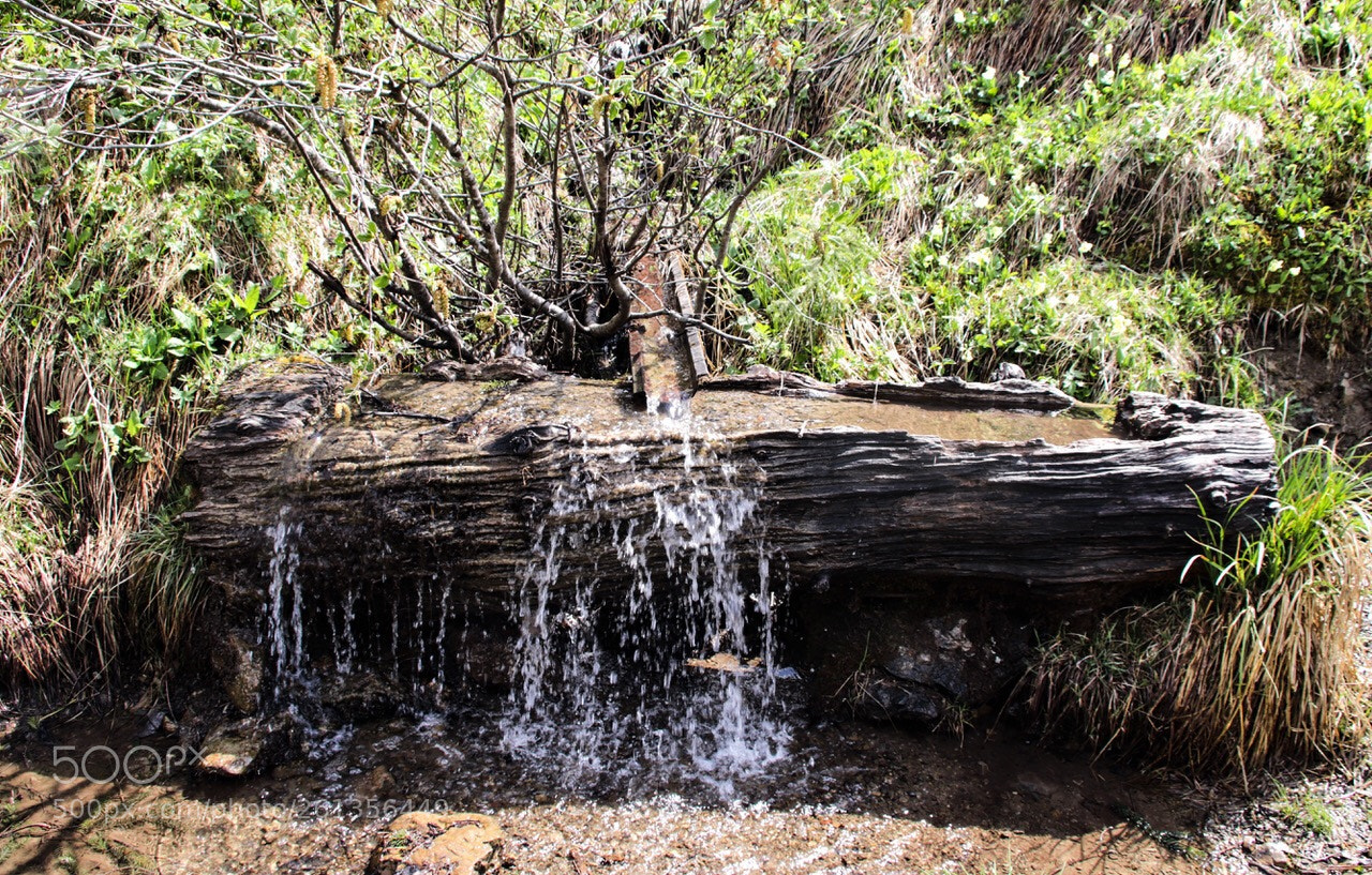 Canon EOS 200D (EOS Rebel SL2 / EOS Kiss X9) sample photo. Water in the mountains photography
