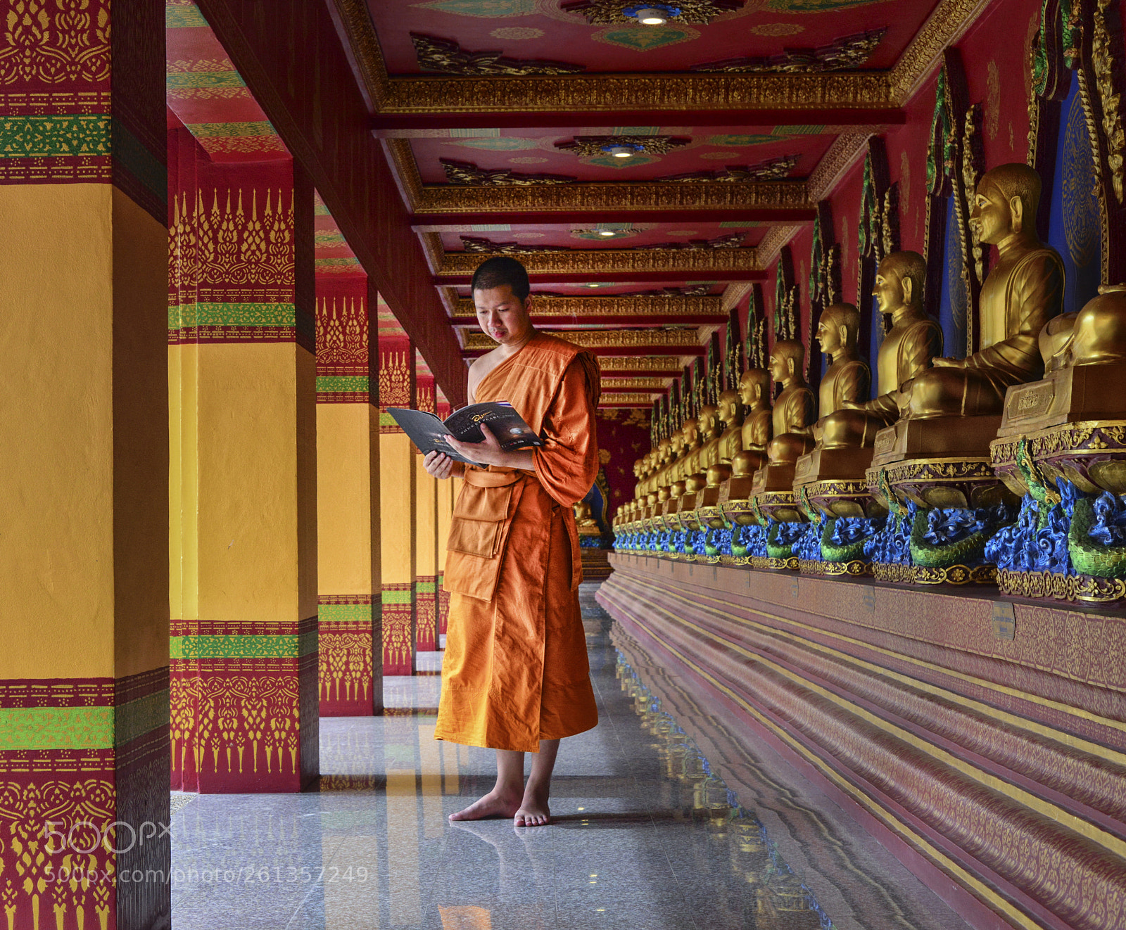 Nikon D800 sample photo. Monk on pilgrimage photography