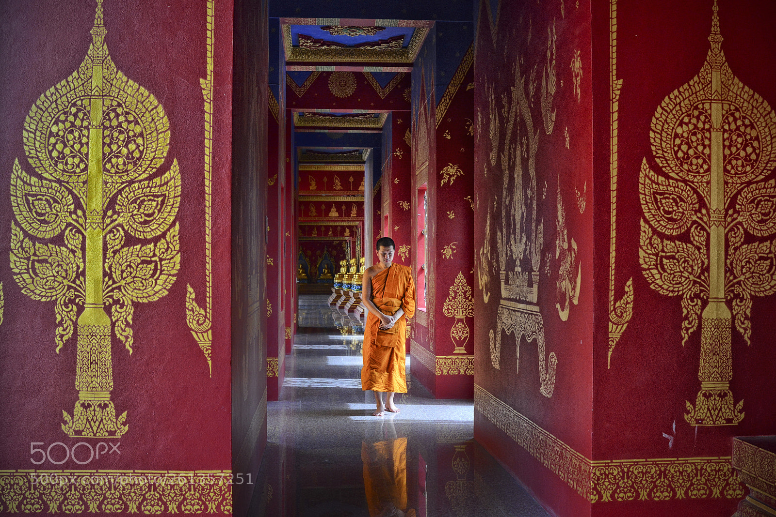 Nikon D800 sample photo. Monk on pilgrimage photography