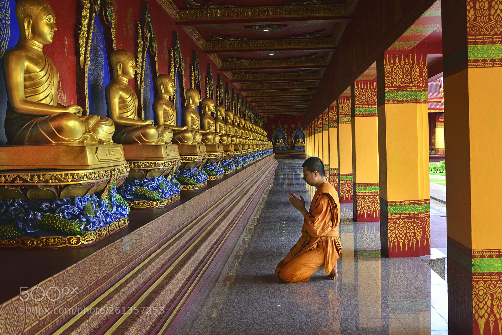 Nikon D800 sample photo. Monk on pilgrimage photography