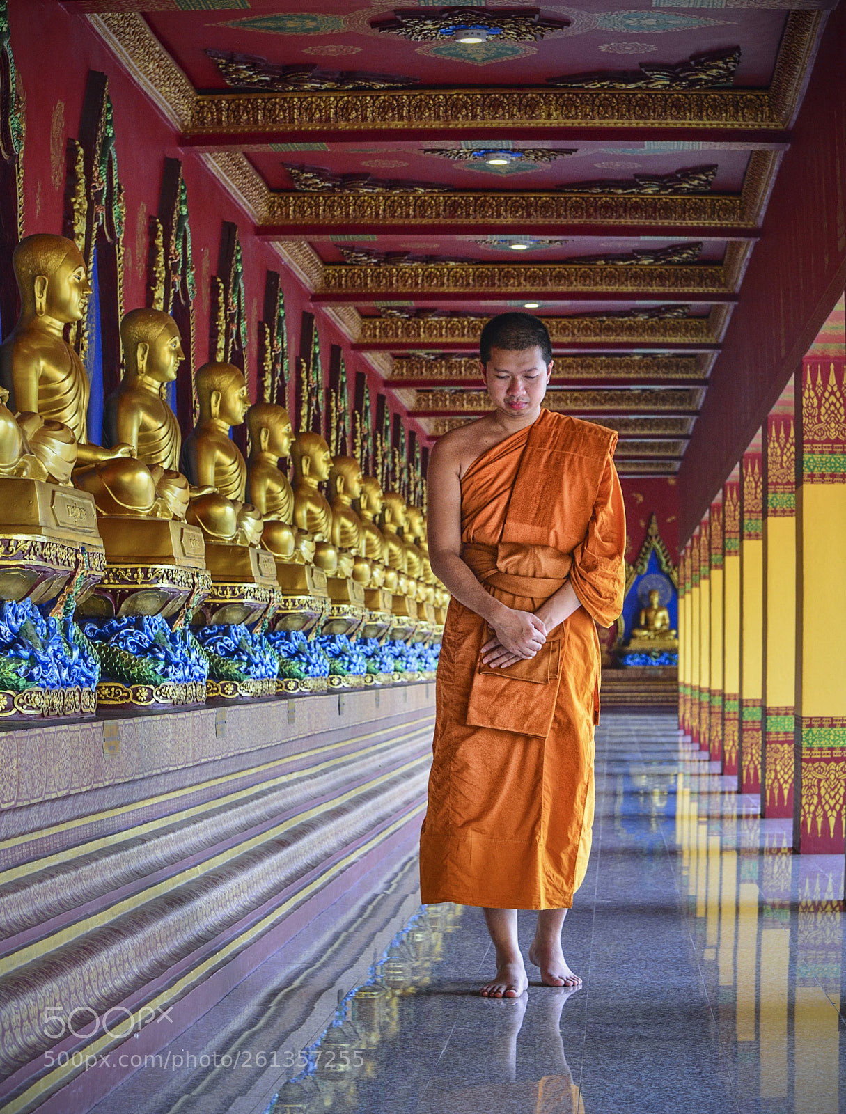 Nikon D800 sample photo. Monk on pilgrimage photography