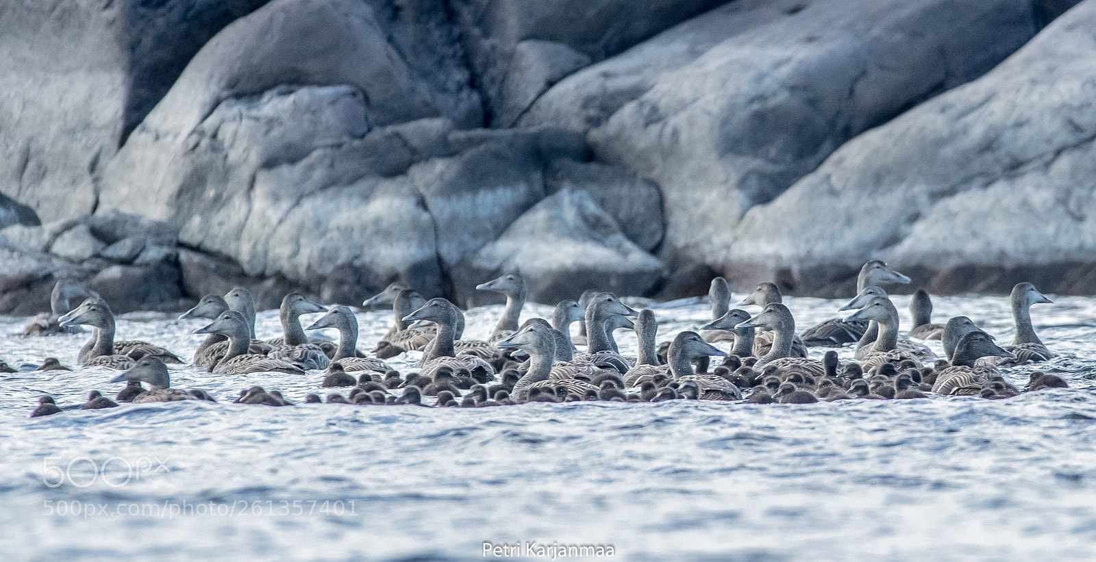 Canon EOS 7D Mark II sample photo. Population photography