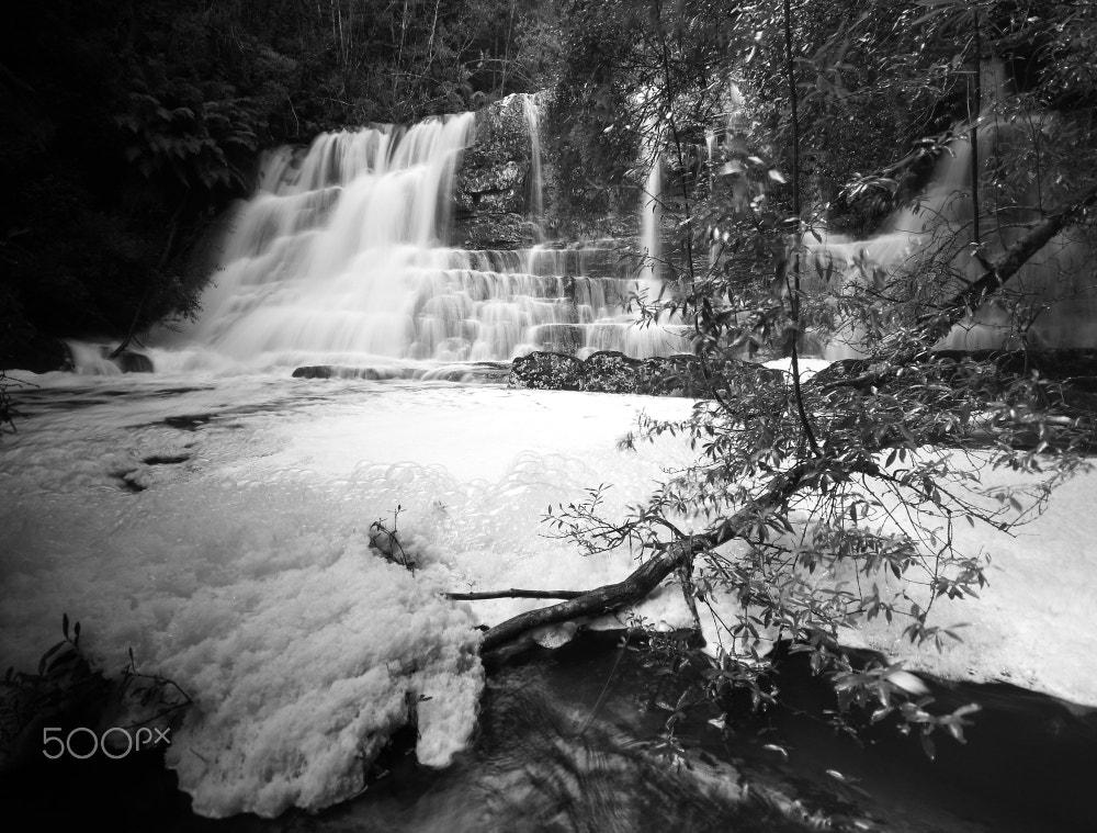 Sigma 10-20mm F4-5.6 EX DC HSM sample photo. Froth photography