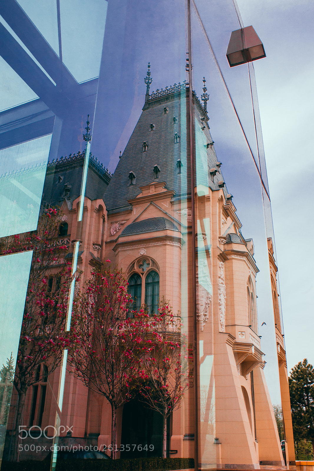 Canon EOS 5D sample photo. Mg photography
