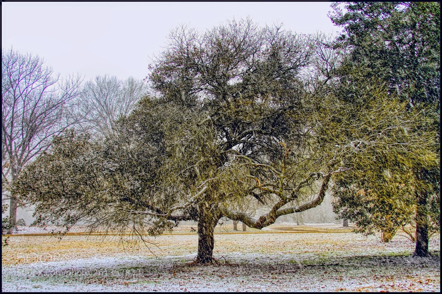 Canon EOS 7D sample photo. A taste of winter photography