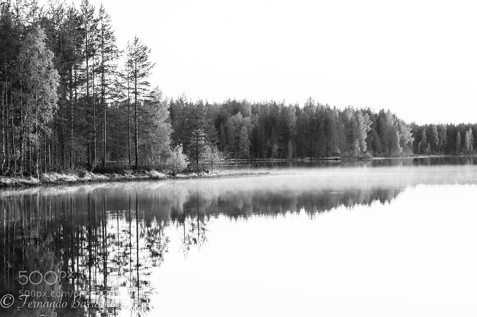 Nikon D300S sample photo. Paisaje finland bn photography