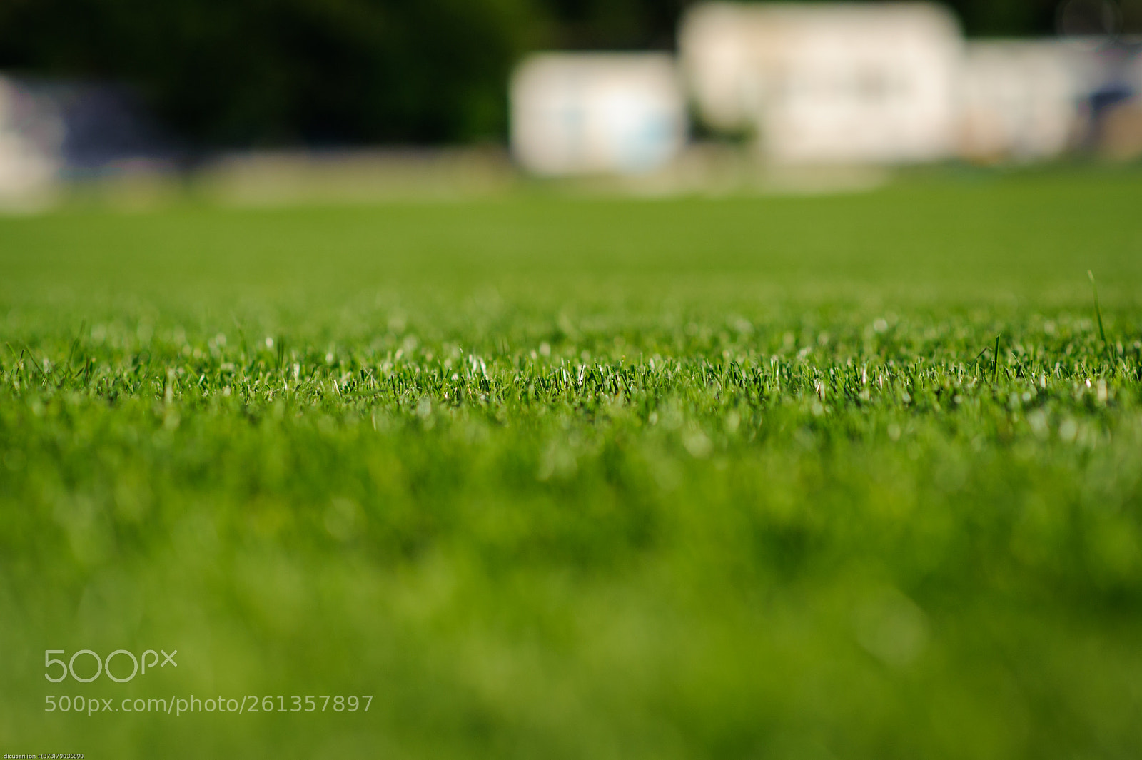 Nikon D700 sample photo. Untitled photography