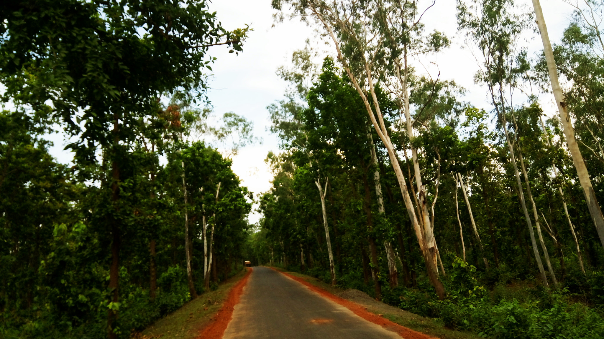 GIONEE A1 lite sample photo. Way of journey photography