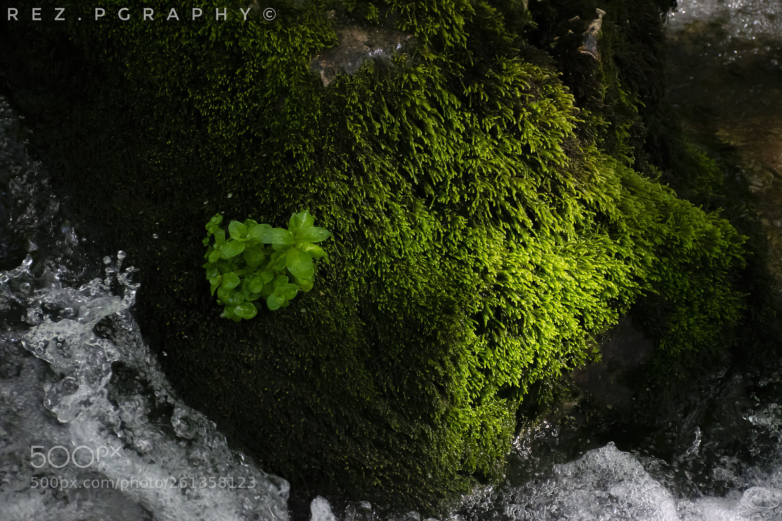 Nikon D5300 sample photo. River photography