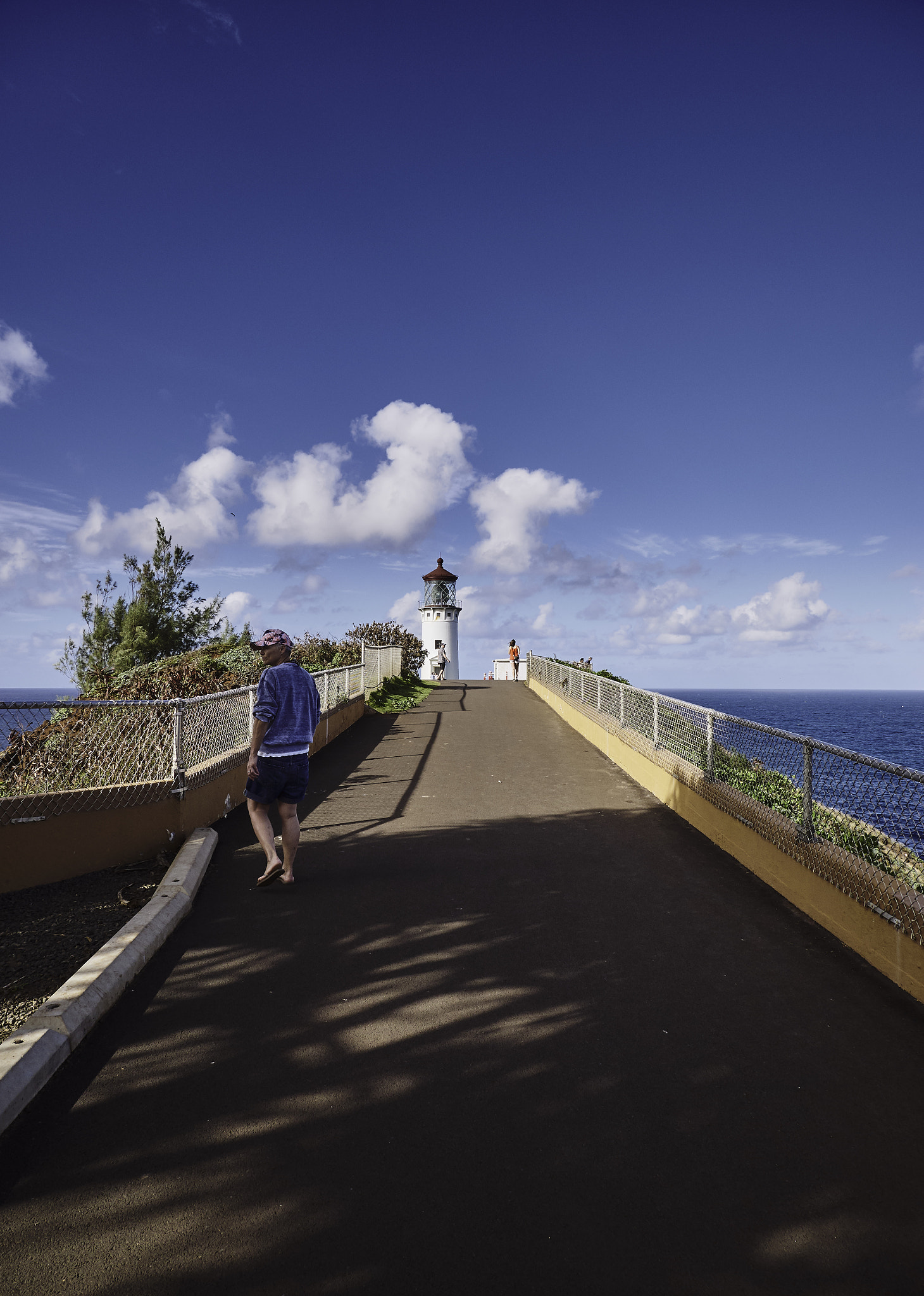 Panasonic Lumix DMC-G85 (Lumix DMC-G80) sample photo. Kauai impressions 1 photography