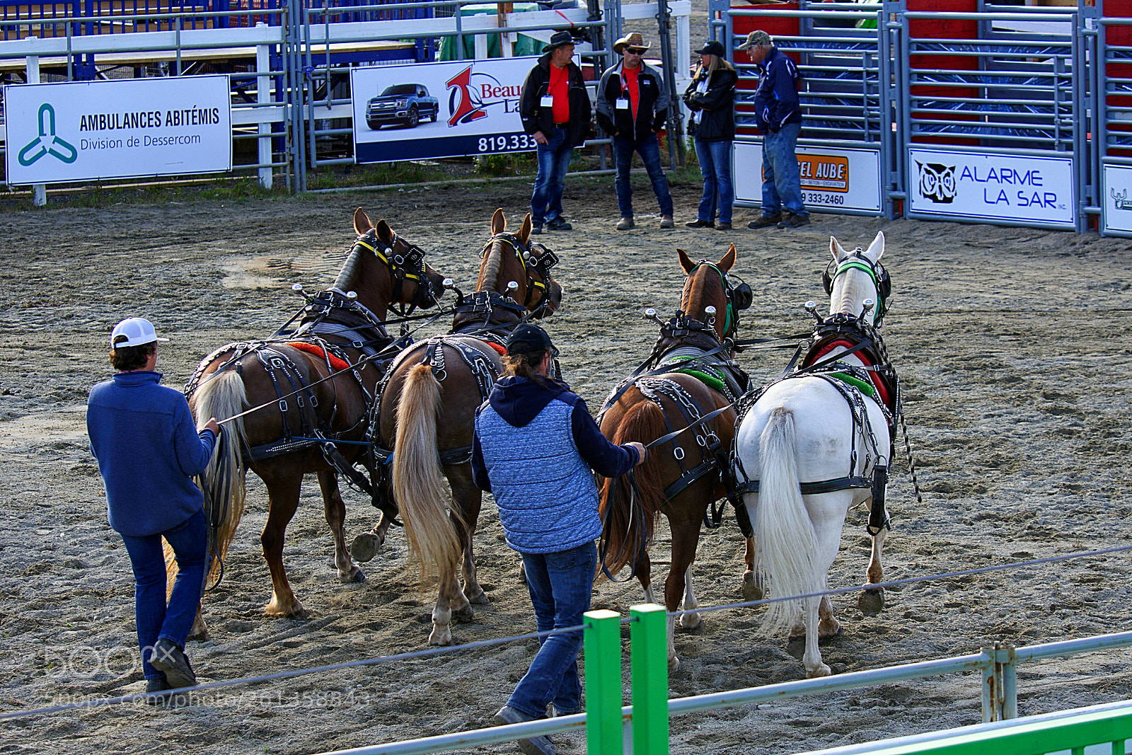 Nikon D7200 sample photo. Caballos photography