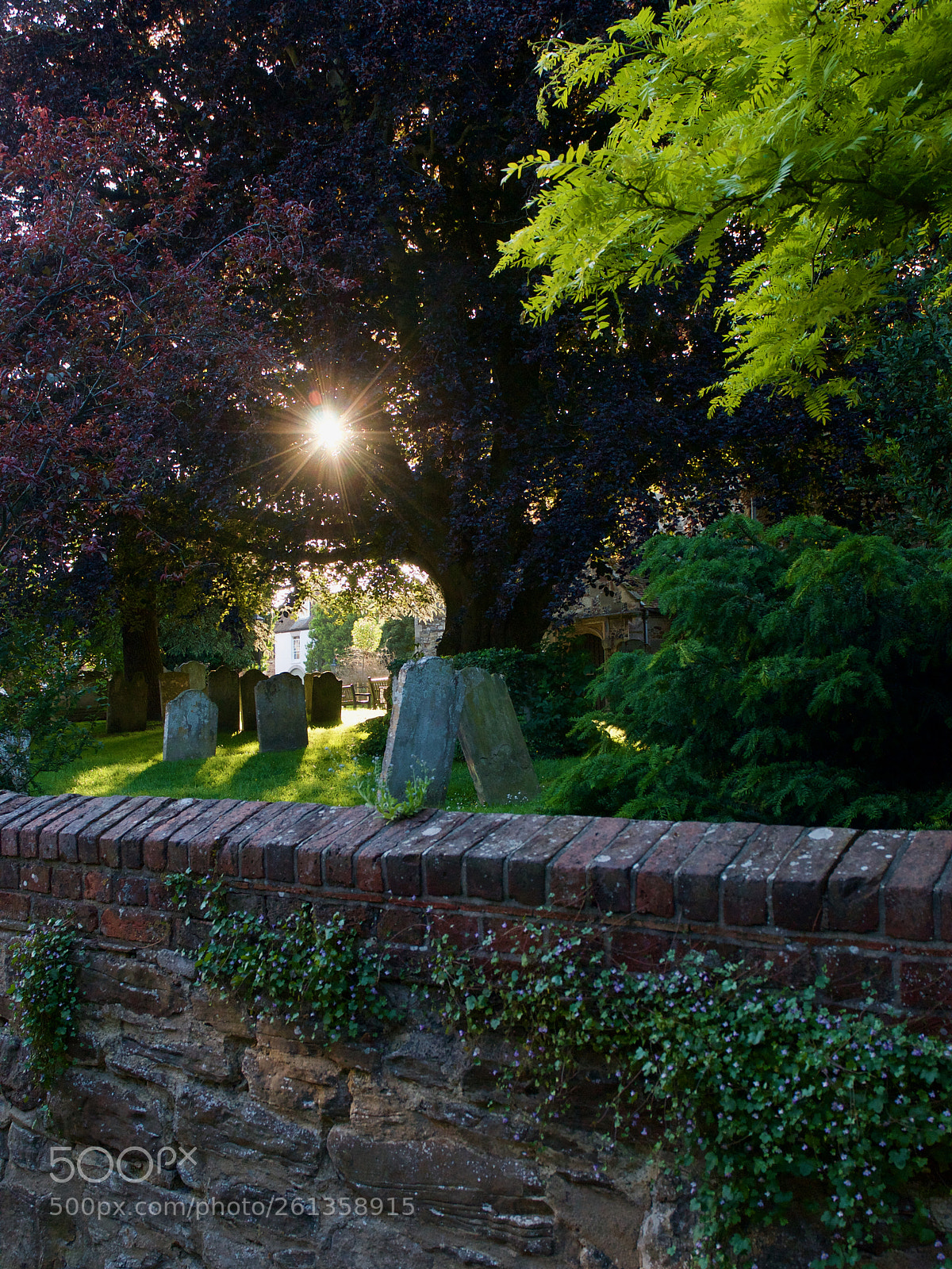 Nikon D300 sample photo. Cemetery in rye photography