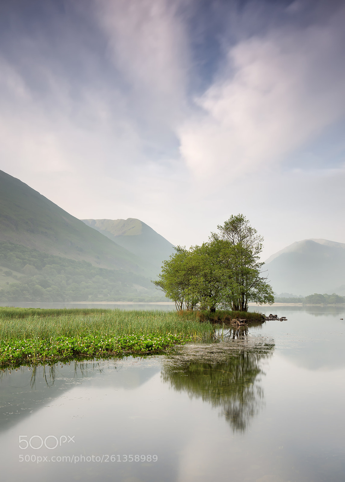 Canon EOS 6D sample photo. Brotherswater copse photography