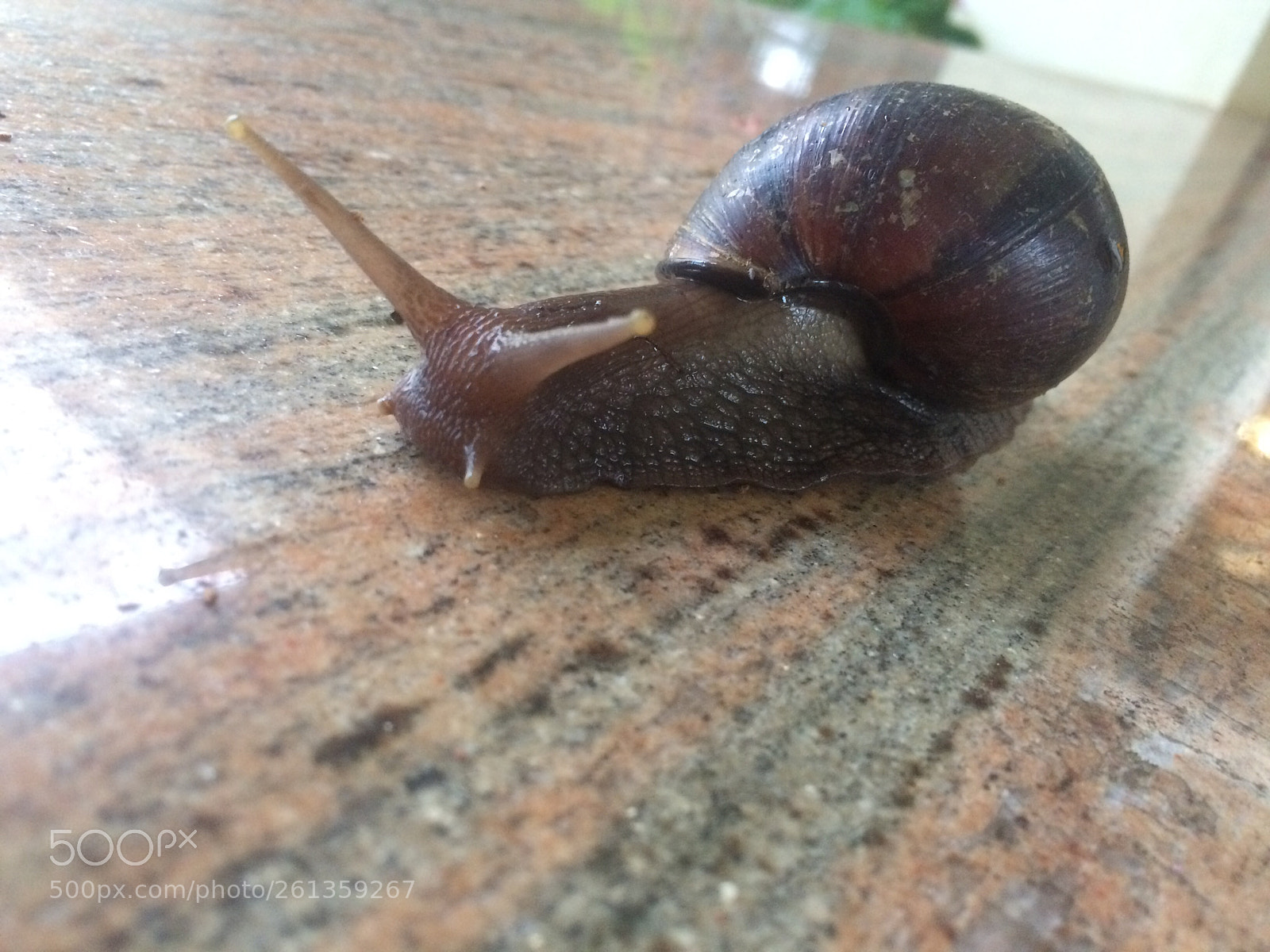 Apple iPhone 5s sample photo. Untitled photography