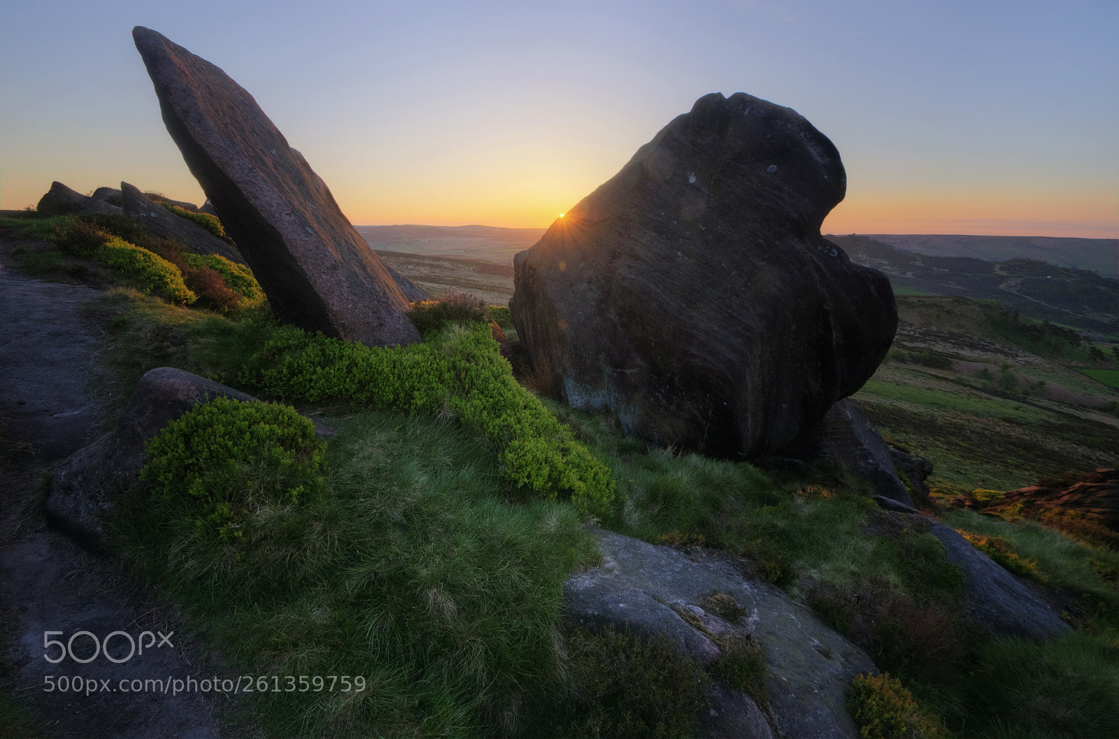 Nikon D90 sample photo. The roaches photography