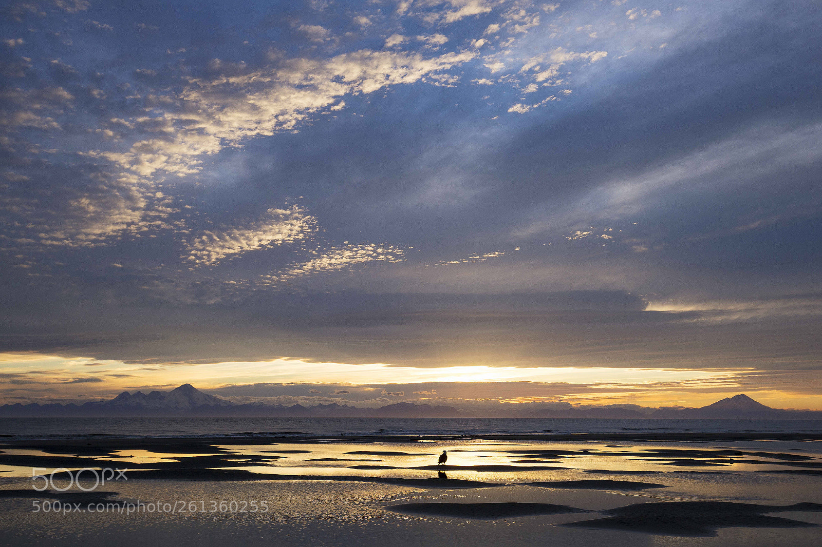 Canon EOS 6D sample photo. Homer-alaska photography