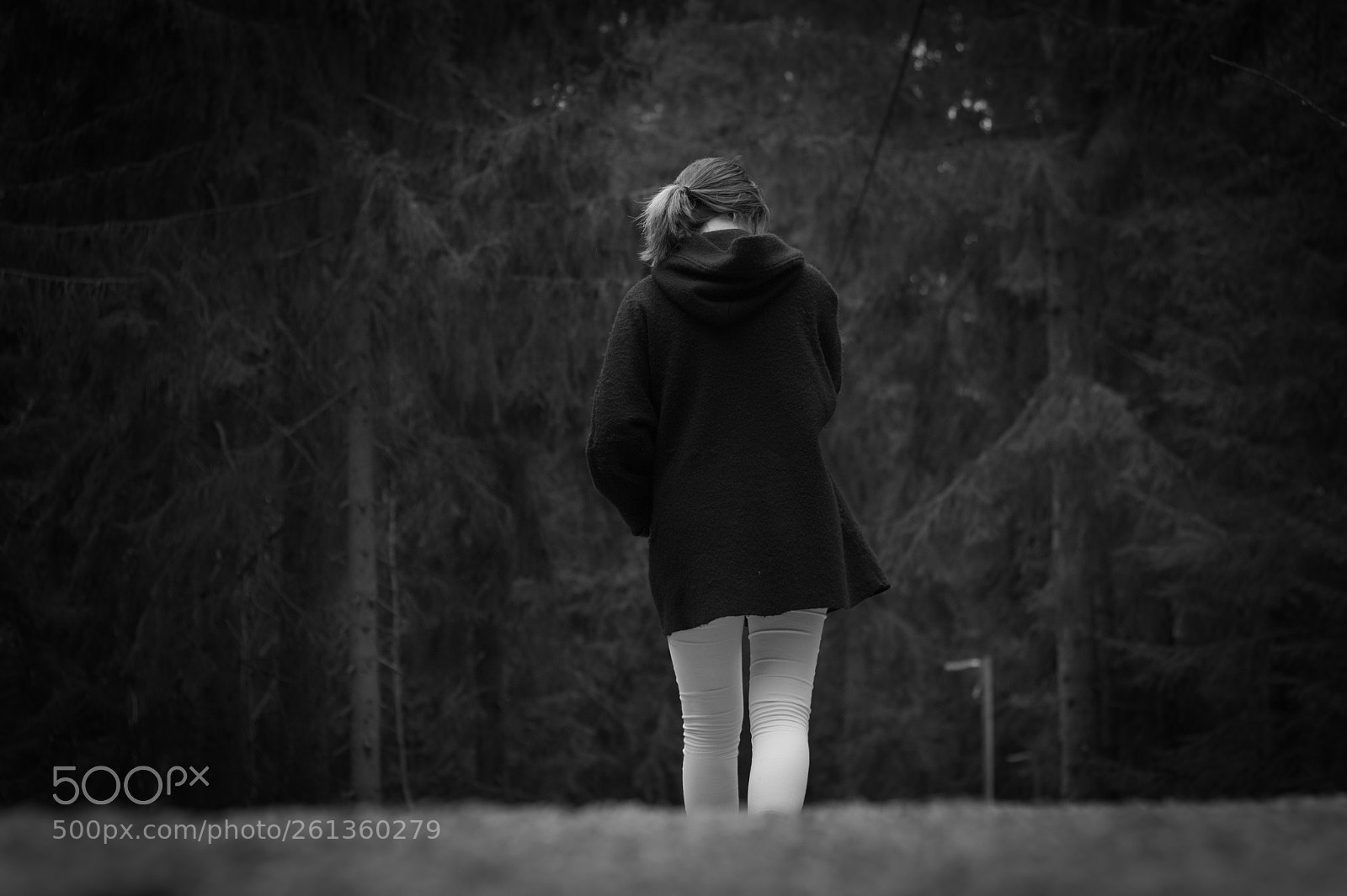 Canon EOS 60D + Canon EF 50mm F1.8 II sample photo. Away photography