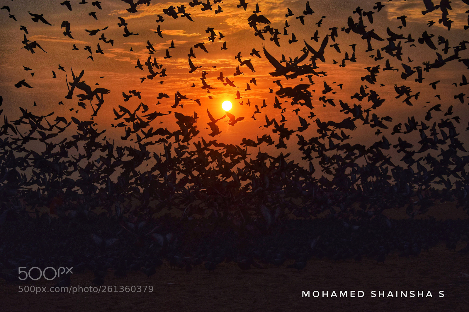 Nikon D5300 sample photo. Golden hours #marina #chennai photography