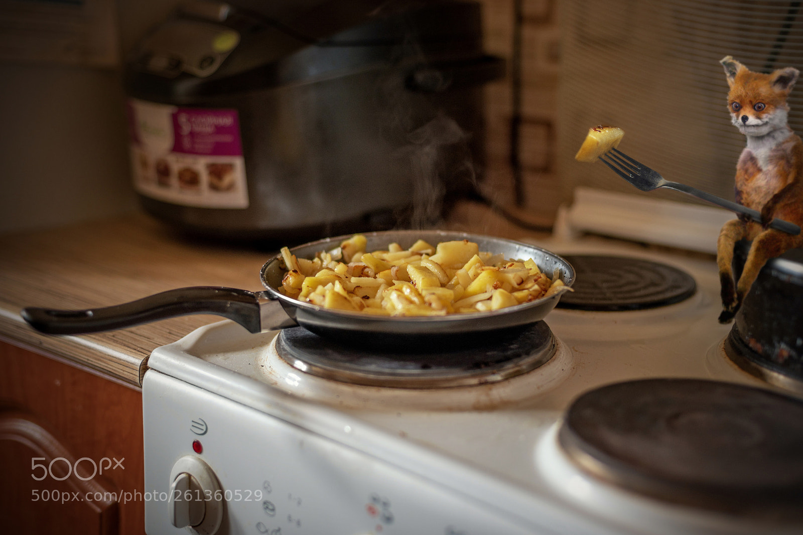 Nikon D750 sample photo. We fry the potatoes =) photography