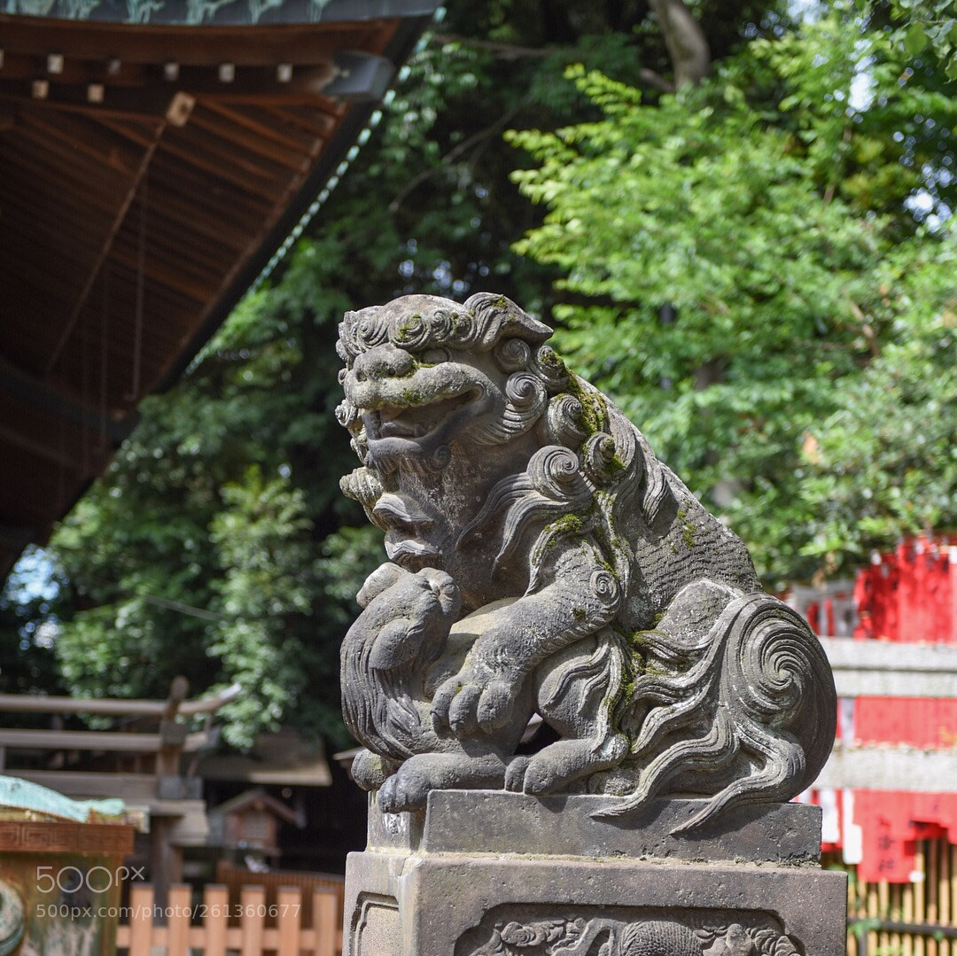 Nikon D810 sample photo. #143 photography
